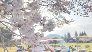 婦人のお悩み／コラム