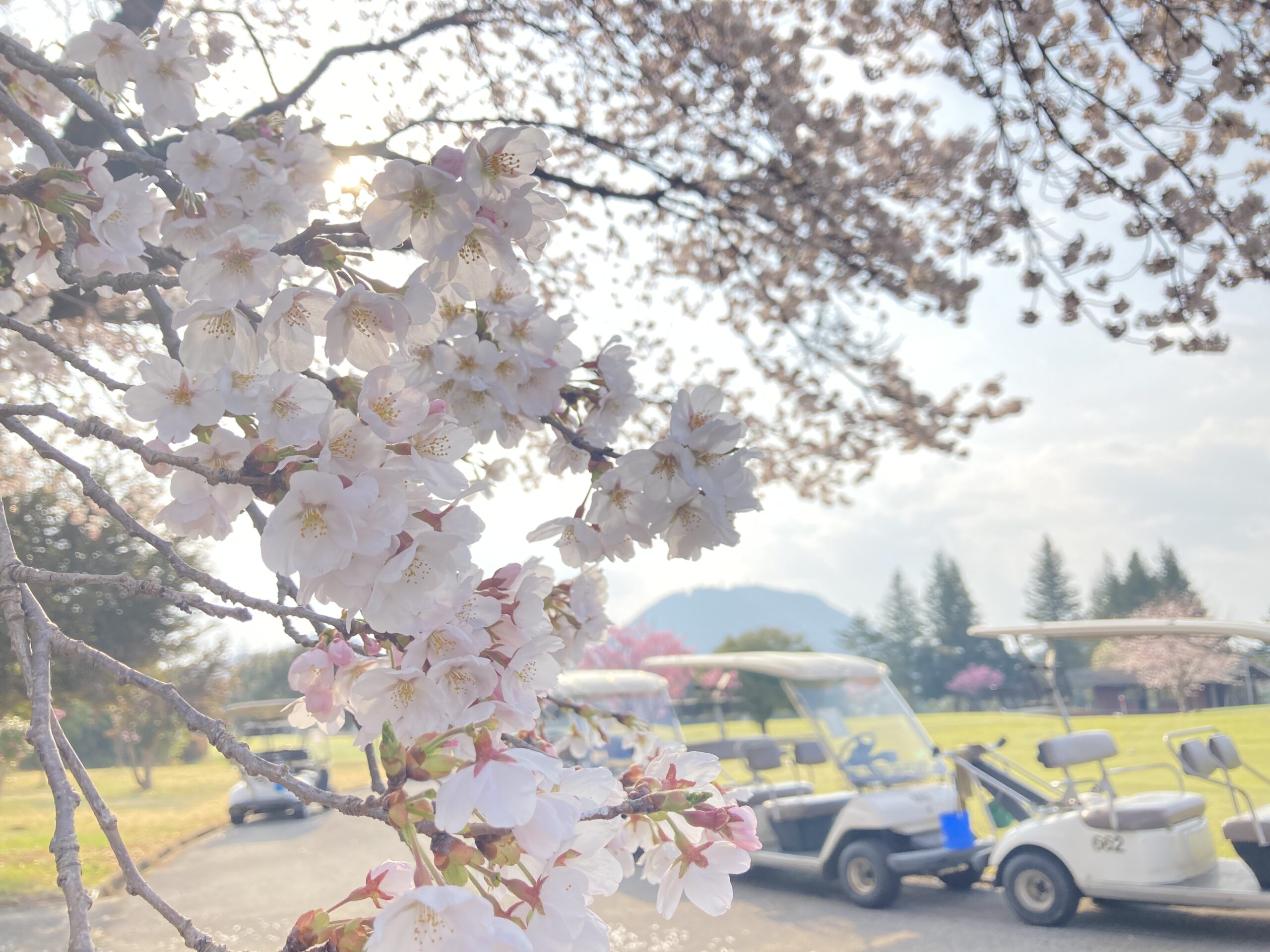 婦人のお悩み／コラム